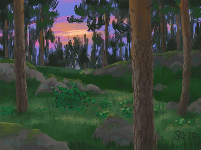 Digital art - Sunset in a forest