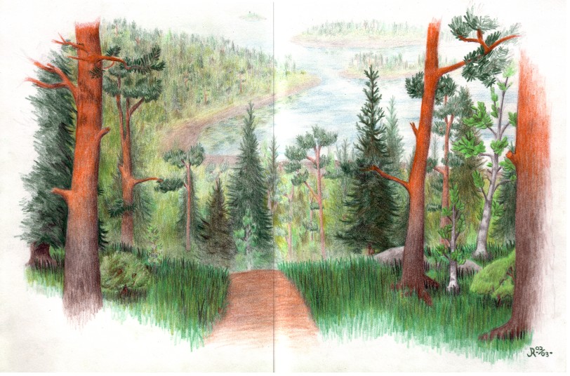 Color pencil art - forest landscape